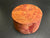 5x2.5 Camphor Burl Wood Bowl Turning Blank (#0016)