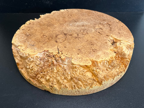 12"x2" (max height) KD Live Edge Maple Burl Wood Bowl Blank (#0031)