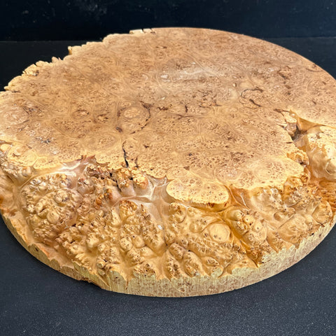 12"x2" (max height) KD Live Edge Maple Burl Wood Bowl Blank (#0031)