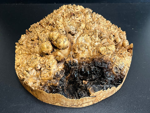 10"x2.5" (max height) KD Live Edge Maple Burl Wood Bowl Blank (#0032)