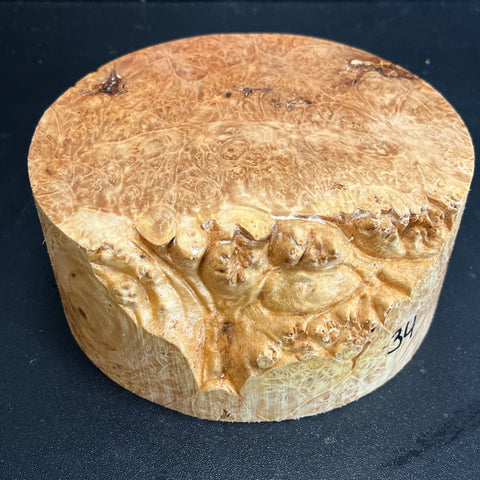 6x2.5 (max height) KD Live Edge Maple Burl Wood Bowl Blank (#0034)