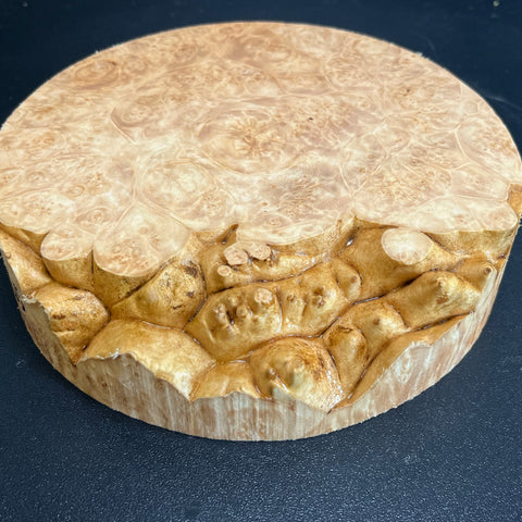 6x1.5 (max height) KD Live Edge Maple Burl Wood Bowl Blank (#0035)