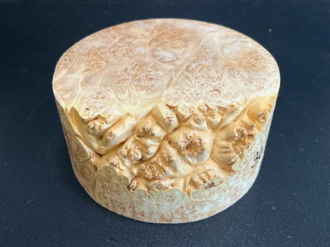 5x2.5 (max height) KD Live Edge Maple Burl Wood Bowl Blank (#0036)