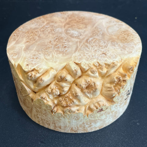 5x2.5 (max height) KD Live Edge Maple Burl Wood Bowl Blank (#0036)