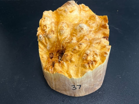 4"x4" (max height) KD Live Edge Maple Burl Wood Bowl Blank (#0037)