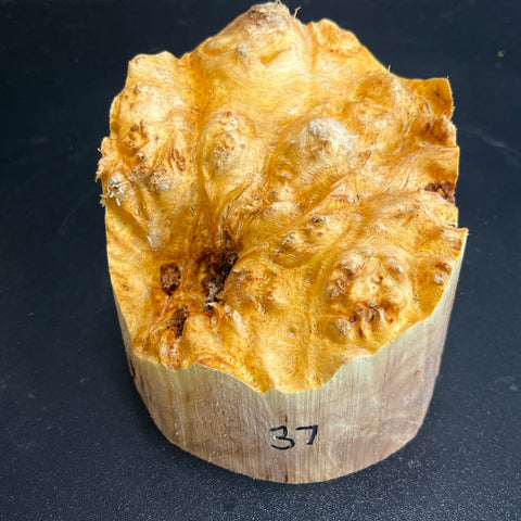 4"x4" (max height) KD Live Edge Maple Burl Wood Bowl Blank (#0037)