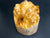 4"x4" (max height) KD Live Edge Maple Burl Wood Bowl Blank (#0037)