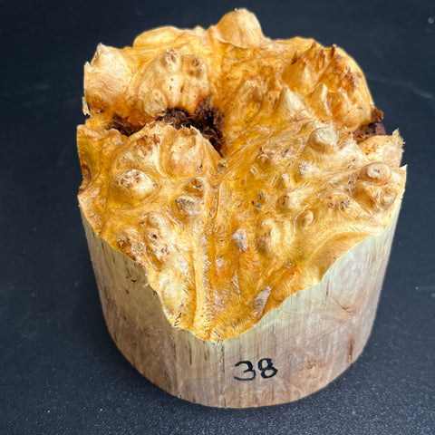 4x3.5 (max height) KD Live Edge Maple Burl Wood Bowl Blank (#0038)