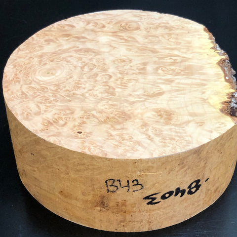8"x3" KD Maple Burl Wood Bowl Turning Blank (#0043)