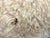 8"x3" KD Maple Burl Wood Bowl Turning Blank (#0043)