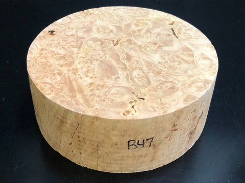 8"x3" KD Maple Burl Wood Bowl Turning Blank (#0047)
