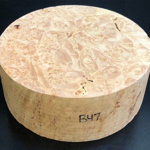 8"x3" KD Maple Burl Wood Bowl Turning Blank (#0047)