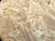 8"x3" KD Maple Burl Wood Bowl Turning Blank (#0047)