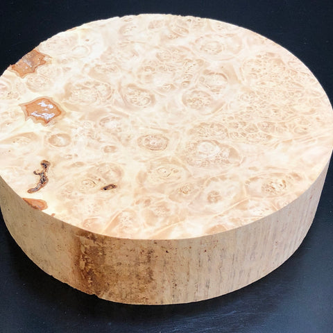 8"x2" KD Maple Burl Wood Platter Turning Blank (#0048)