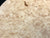 8"x2" KD Maple Burl Wood Platter Turning Blank (#0048)