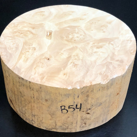 7"x3" KD Maple Burl Wood Bowl Turning Blank (#0054)
