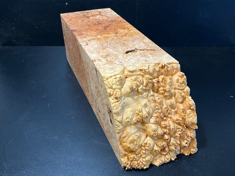 19.5x6.5x6.5 (max height) KD Live Edge Maple Burl Wood Spindle Blank (#0040)