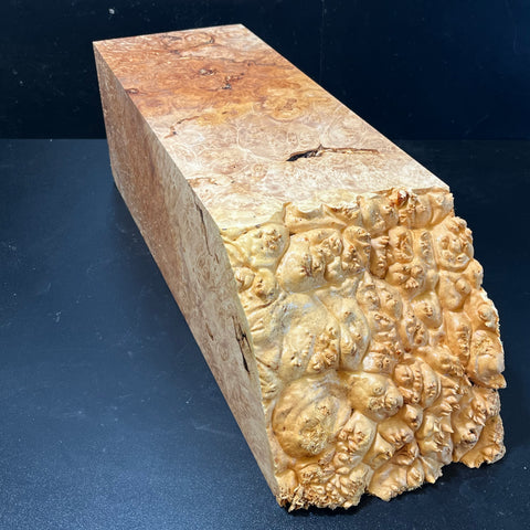 19.5x6.5x6.5 (max height) KD Live Edge Maple Burl Wood Spindle Blank (#0040)