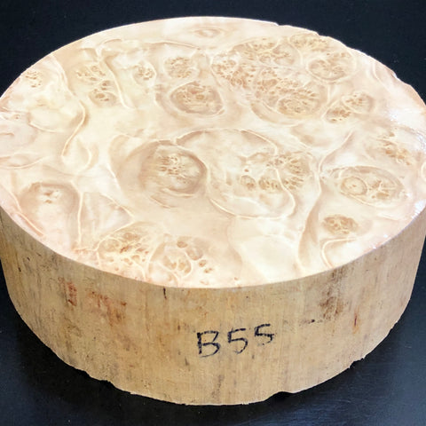 7"x2" KD Maple Burl Wood Platter Turning Blank (#0055)