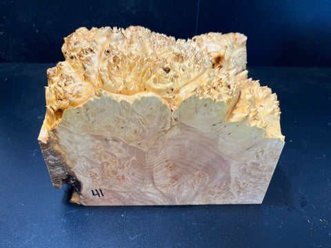8.5x8.5x5.5 (max height) KD Live Edge Maple Burl Wood Bowl Blank (#0041)