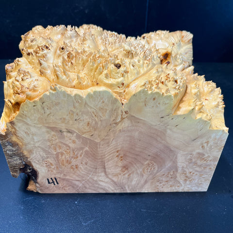 8.5x8.5x5.5 (max height) KD Live Edge Maple Burl Wood Bowl Blank (#0041)