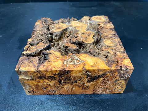 6.5x6.5x2.5 (max height) KD Live Edge Cottonwood Burl Wood Bowl Blank (#0042)