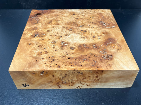 9x9x2.5 KD Cottonwood Burl Wood Bowl Blank (#0036)