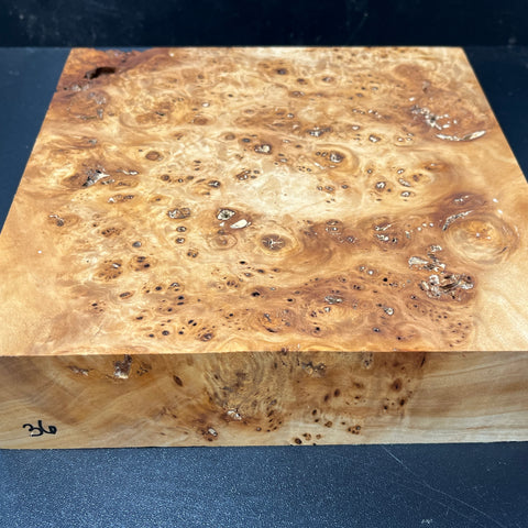 9x9x2.5 KD Cottonwood Burl Wood Bowl Blank (#0036)