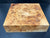 9x9x2.5 KD Cottonwood Burl Wood Bowl Blank (#0036)