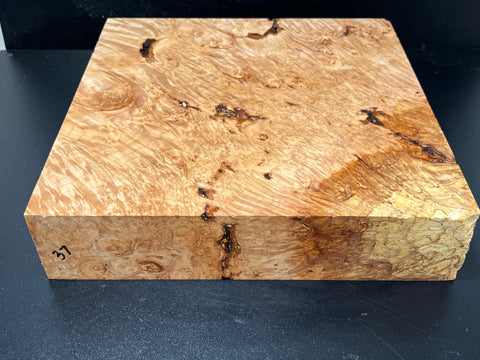 12x12x2.5 KD Maple Burl Wood Bowl Turning Blank (#0037)