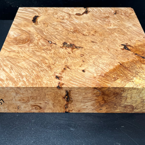 12x12x2.5 KD Maple Burl Wood Bowl Turning Blank (#0037)