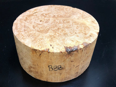 7"x3" KD Maple Burl Wood Bowl Turning Blank (#0088)