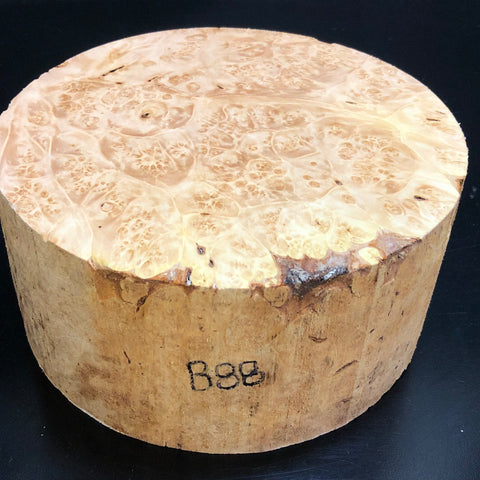 7"x3" KD Maple Burl Wood Bowl Turning Blank (#0088)
