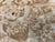 7"x3" KD Maple Burl Wood Bowl Turning Blank (#0088)