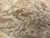 7"x3" KD Maple Burl Wood Bowl Turning Blank (#0088)