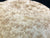 6"x3" KD Maple Burl Wood Bowl Turning Blank (#0090)