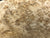 6"x3" KD Maple Burl Wood Bowl Turning Blank (#0090)