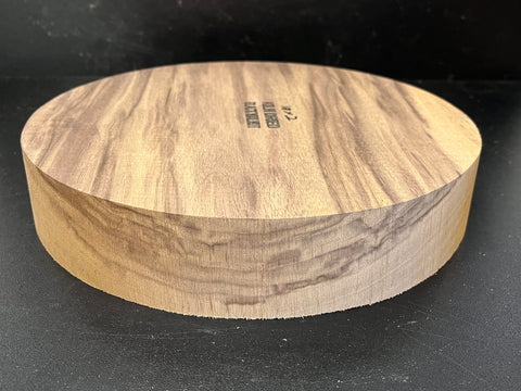 10"x2" KD Sappy Walnut Wood Bowl Turning Blank (#00143)