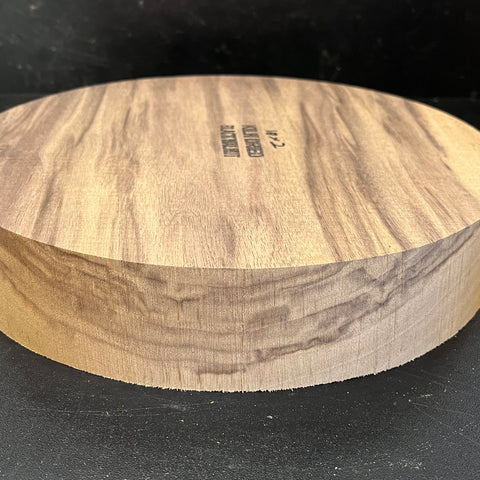 10"x2" KD Sappy Walnut Wood Bowl Turning Blank (#00143)
