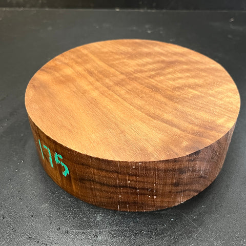 6"x2" KD Lightly Figured Black Walnut Wood Bowl Turning Blank (#00175)