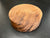 6"x2" KD Lightly Figured Black Walnut Wood Bowl Turning Blank (#00179)
