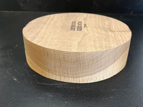 7"x2" KD Sappy Walnut Wood Bowl Turning Blank (#00188)