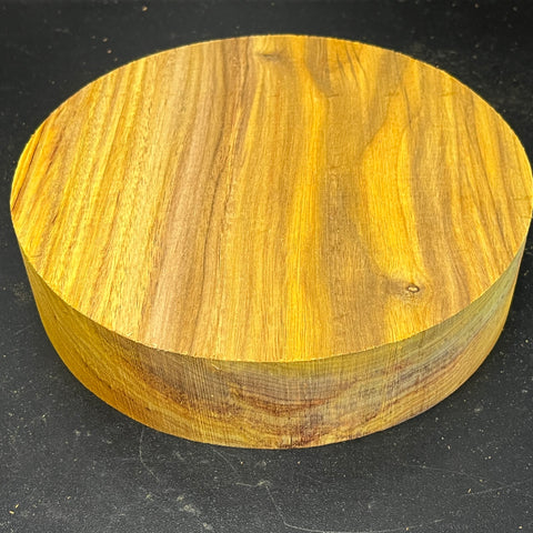 8"x2" KD Exhibition Grade Canarywood Wood Bowl Turning Blank (#00242)