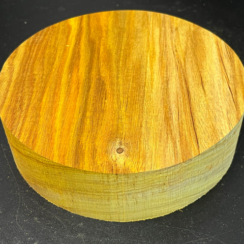 7"x2" KD Exhibition Grade Canarywood Wood Bowl Turning Blank (#00248)