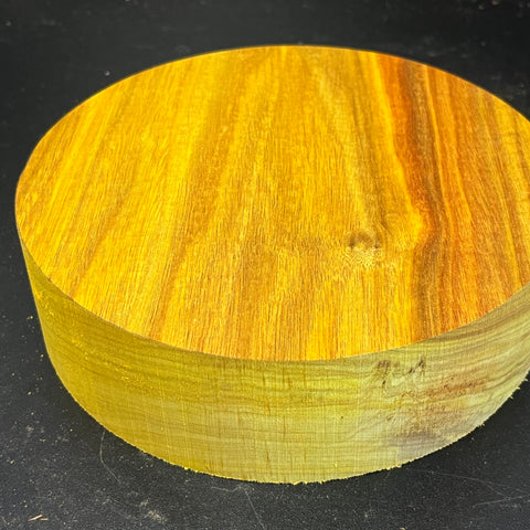 7"x2" KD Exhibition Grade Canarywood Wood Bowl Turning Blank (#00249)