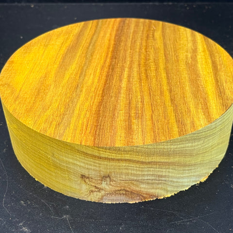 7"x2" KD Exhibition Grade Canarywood Wood Bowl Turning Blank (#00252)