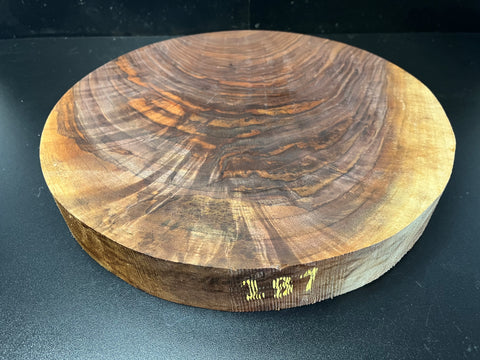 14"x2" KD Figured Black Walnut Wood Bowl Turning Blank (#00287)