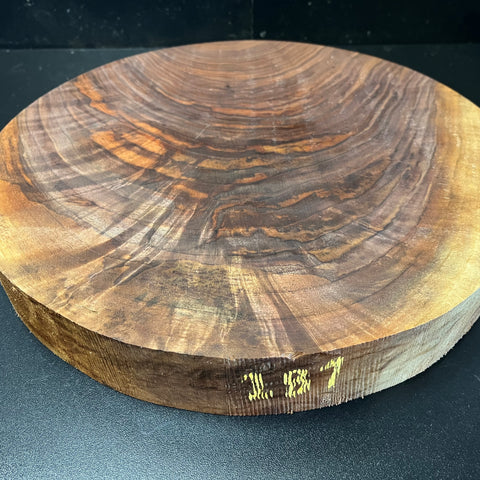 14"x2" KD Figured Black Walnut Wood Bowl Turning Blank (#00287)