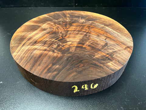 12"x2" KD Figured Black Walnut Wood Bowl Turning Blank (#00296)