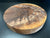 12"x2" KD Figured Black Walnut Wood Bowl Turning Blank (#00296)